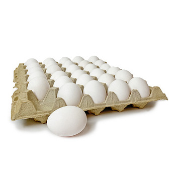 SHOP WHOLESALE X-LARGE EGG