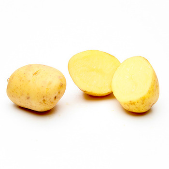 Fresh Chef Potatoes, 50# Bag, $0.45/lb – Martins Country Store LLC