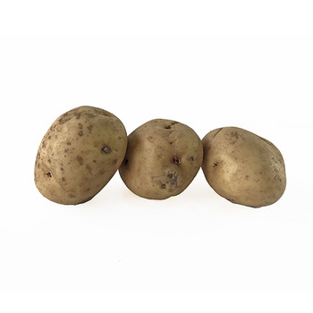 Fresh Chef Potatoes, 50# Bag, $0.45/lb – Martins Country Store LLC