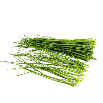 Chives