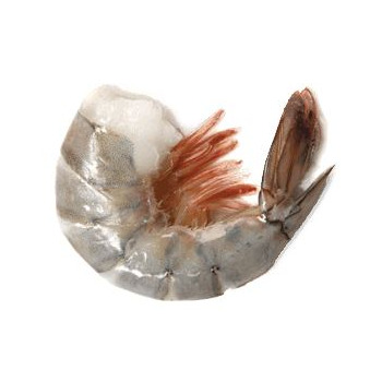 Shrimp - Head-On X-Jumbo, Piazza Seafood, Wholesale Seafood Distributors