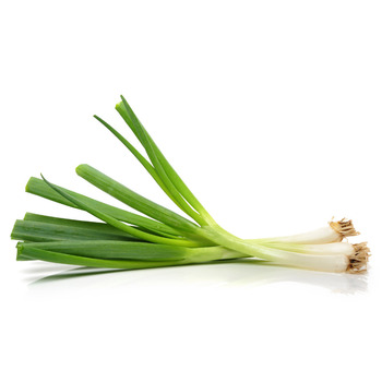 Green Scallions (Onions)